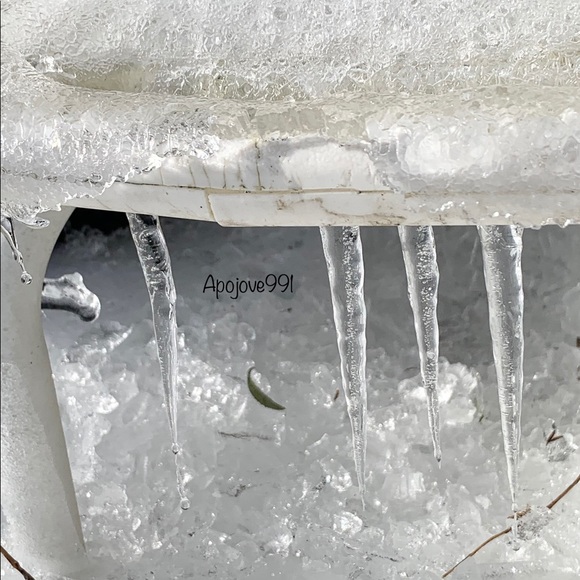 Meet your Posher, Isaiah! - Picture 7 of 10